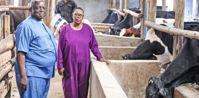 The Mbichas: Elderly retiree couple turns dry Joska land into profitable farm