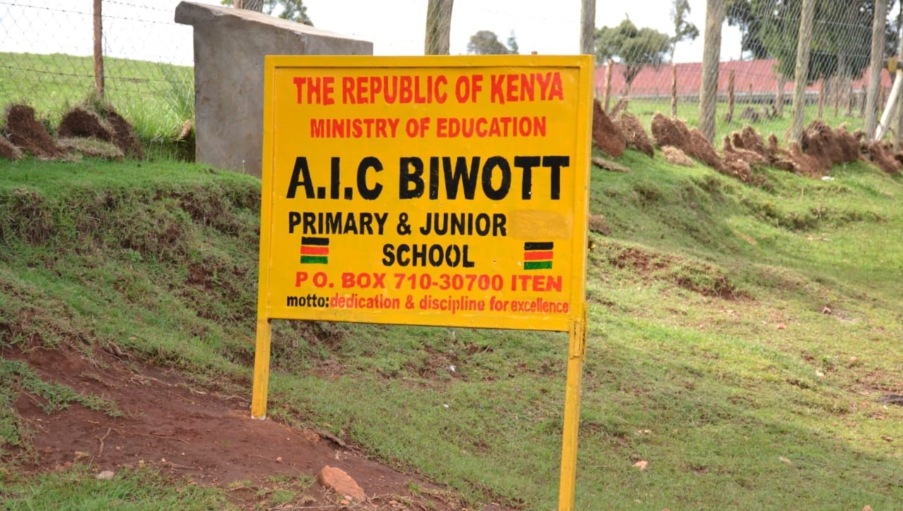 Teachers with B.Ed (Primary option) disqualified from junior school jobs