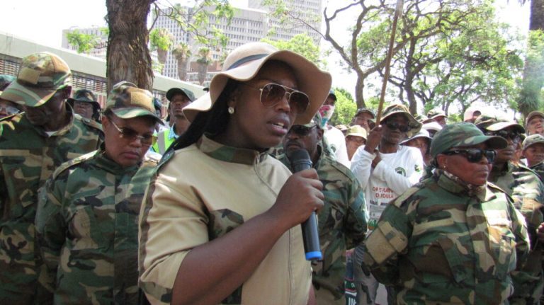 Dudula Operation: Gang chasing ‘black foreign Africans’ out of South Africa