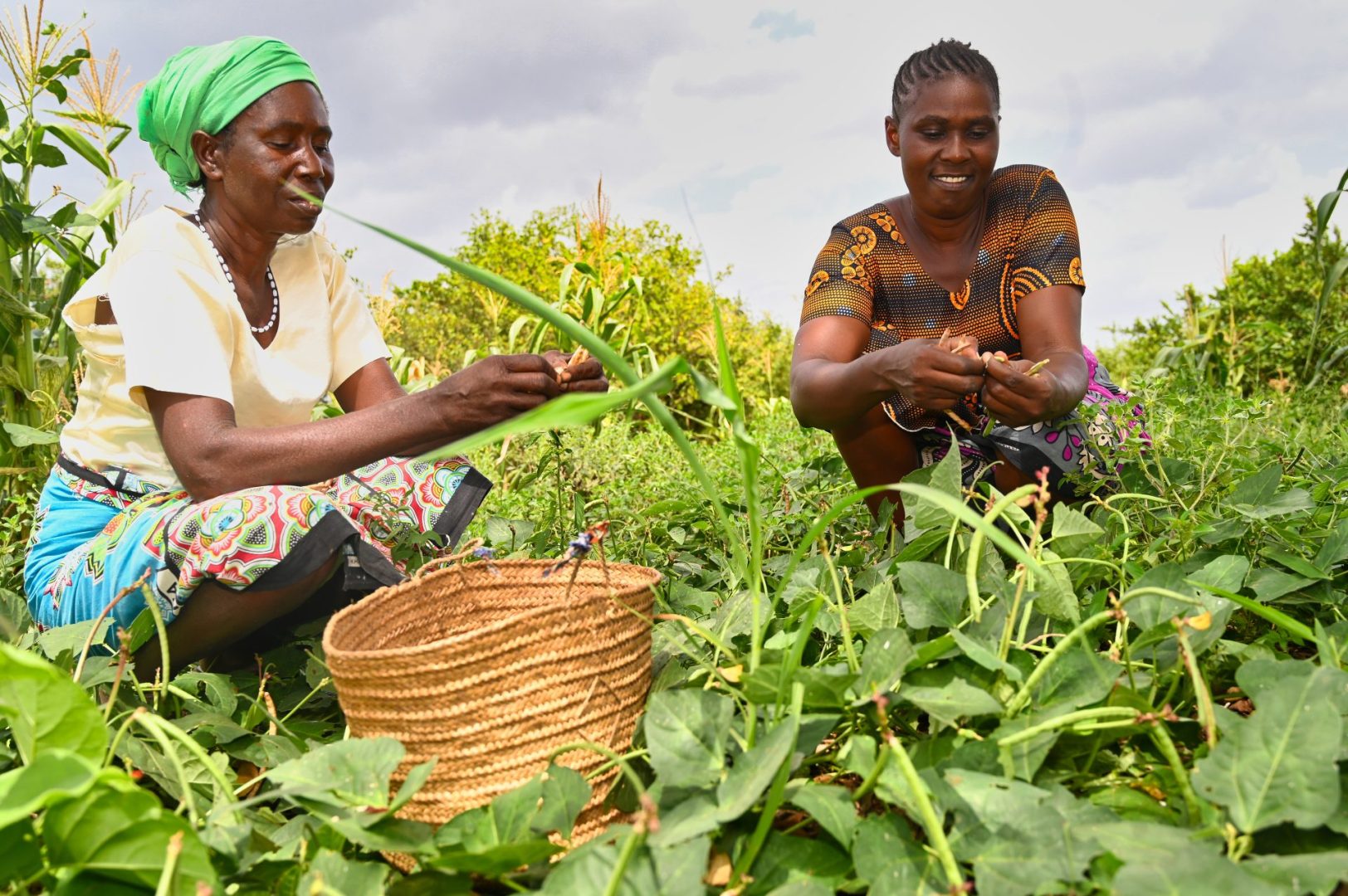 World Vision Kenya calls for united action to end hunger as Kenya marks World Food Day 2025 1 World Vision Kenya calls for united action to end hunger as Kenya marks World Food Day 2025