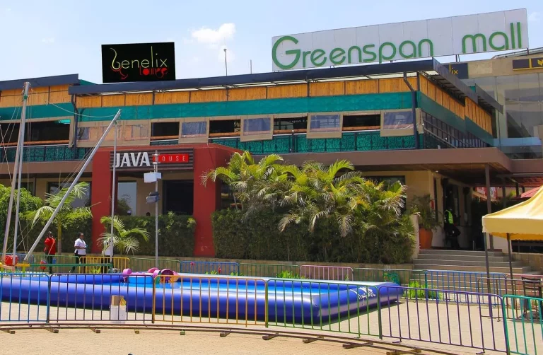 Meet owners of Donholm’s multi-billion Greenspan Mall