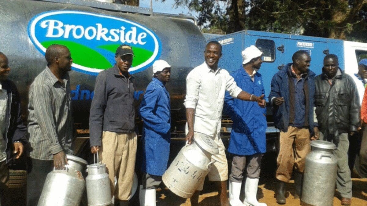 Requirements and how you can start supplying fresh milk to Brookside