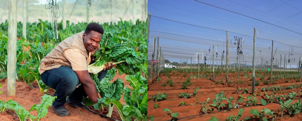 Isaac: Meet Kenyan Gen Z running biggest farming company in Botswana