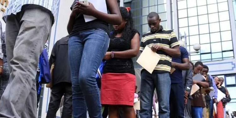 Mombasa County government announces 40 job vacancies, internship opportunities