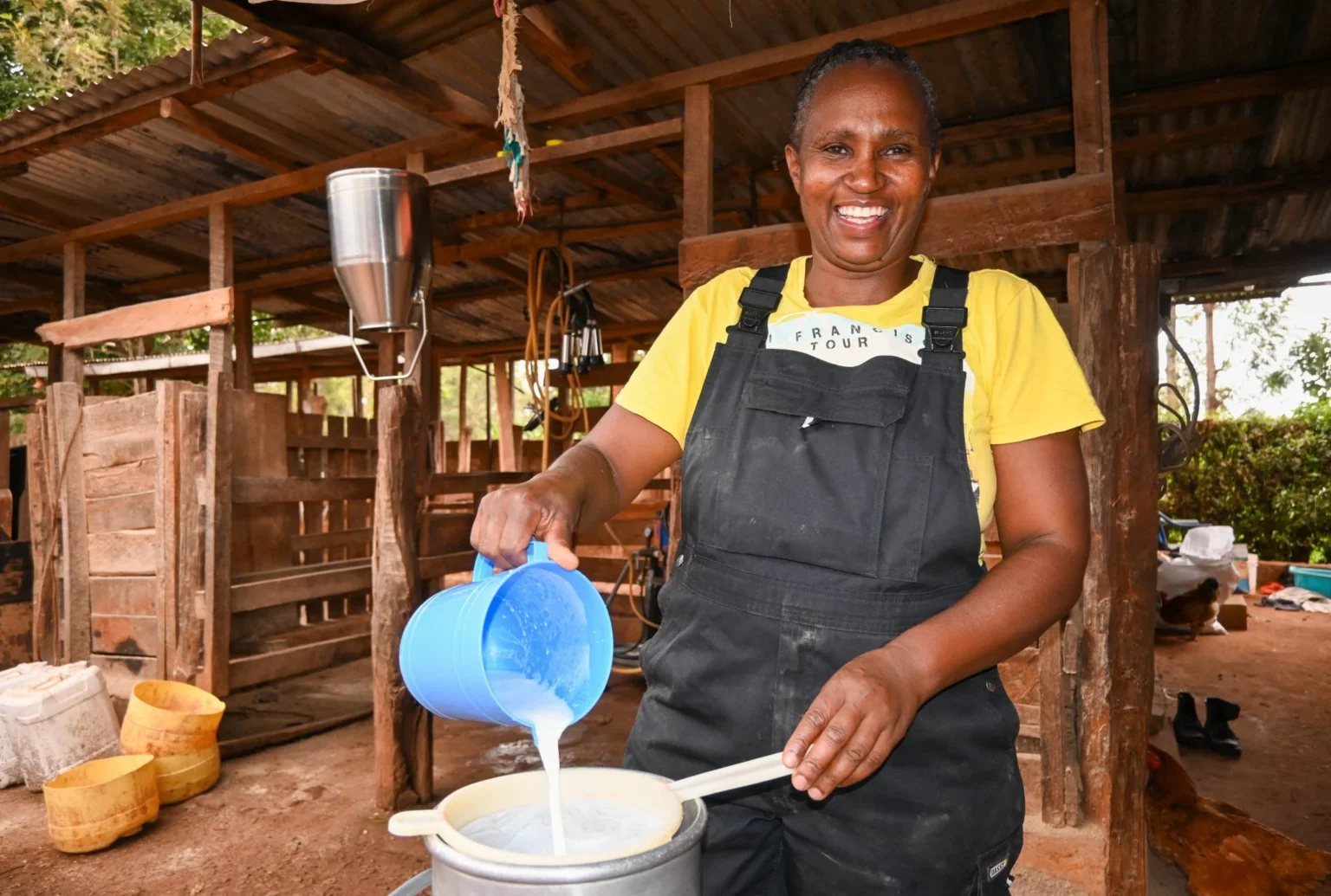 Racheal: How I grew my dairy farm from one cow to 15 cows