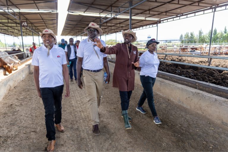Laikipia farm bets on value addition to unlock premium beef markets