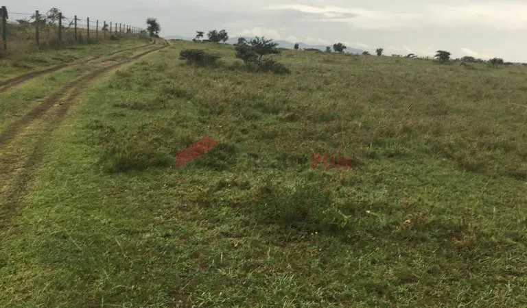 Owning land made easier: How NCBA is changing lives with plot financing