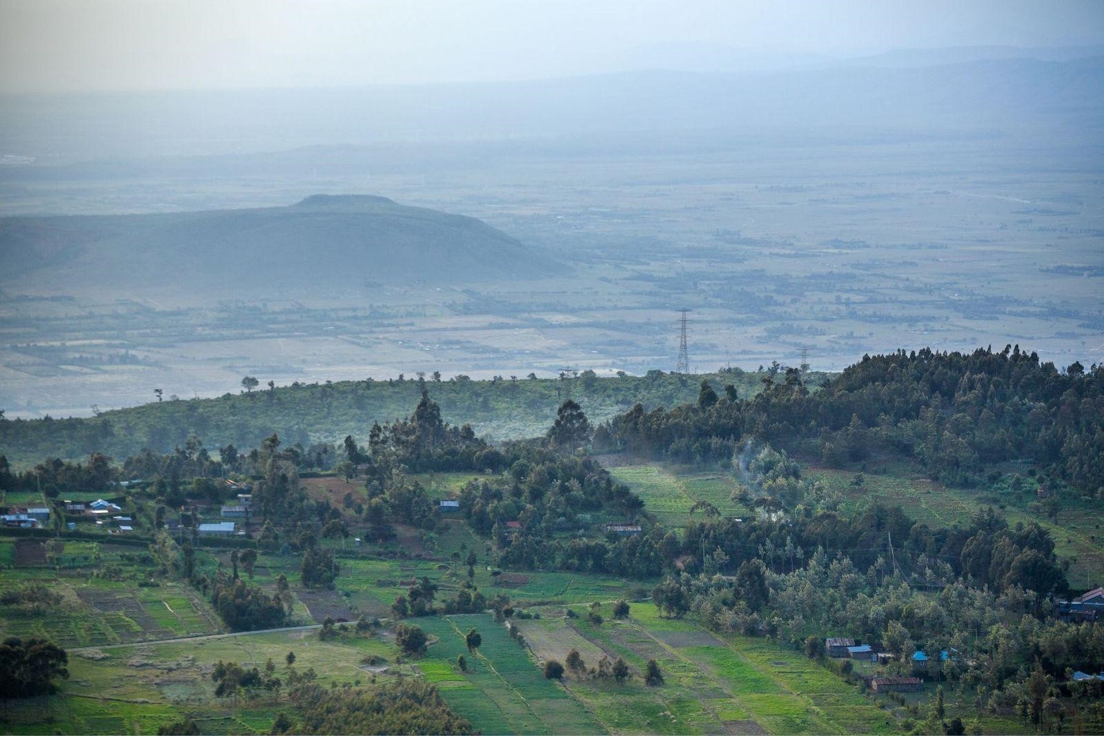 Earthbanc delivers over 3 Million seedlings to Kenya Forest Service in support of the Jaza Miti Initiative