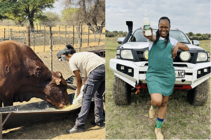 South Africa's Tlhalefo Dithebe: Quit her job and to invest in livestock farming
