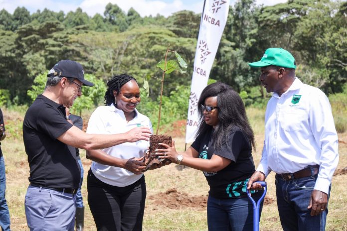 NCBA tree planting exercise at Kamwaki Estate