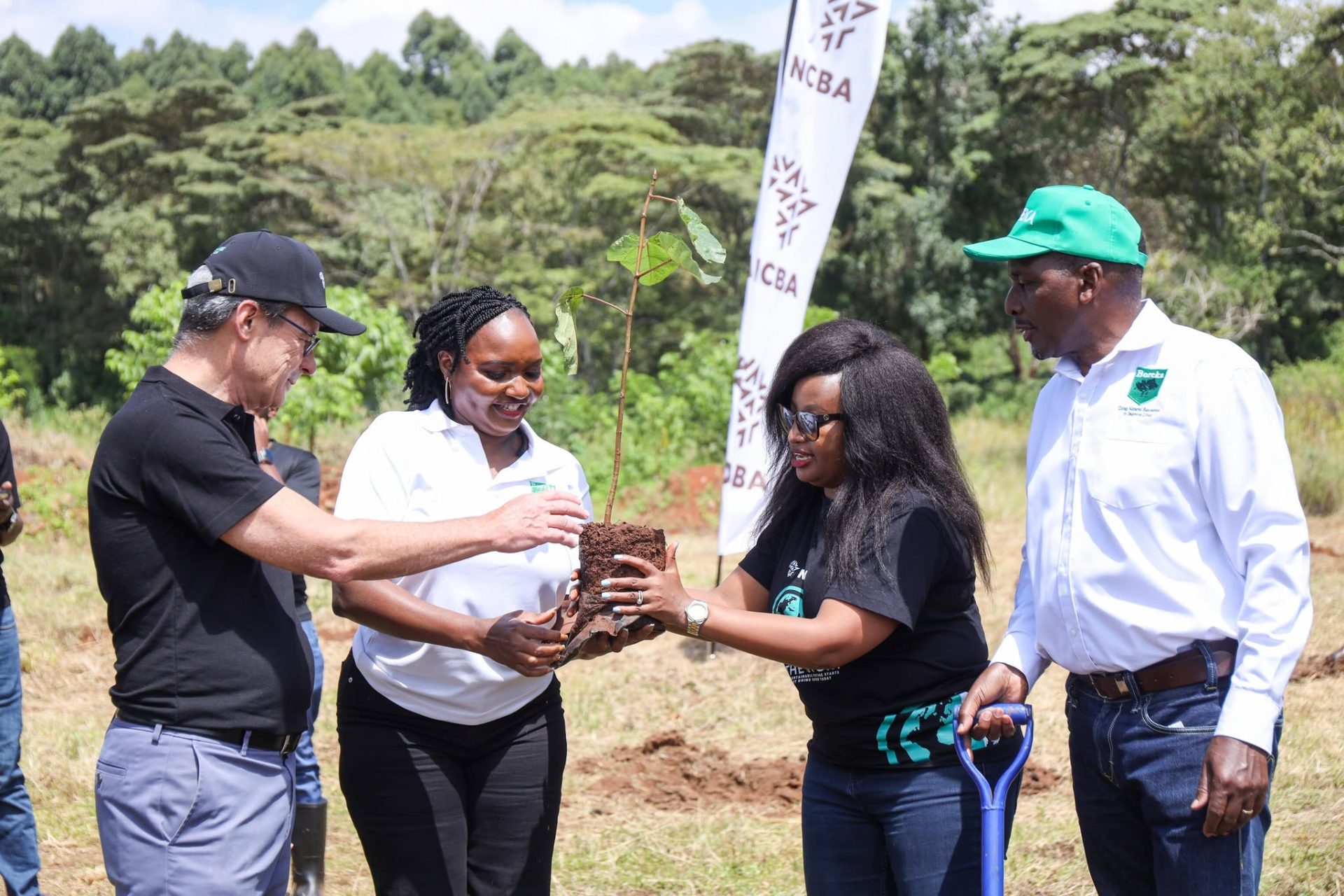 NCBA marks World Environment Day with tree planting at Kamwaki Estate
