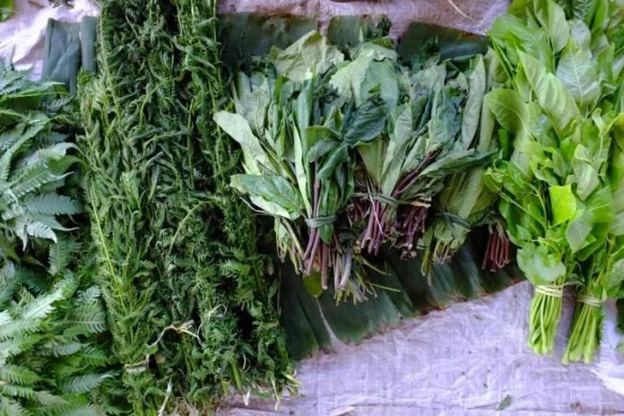 indigenous vegetable farming
