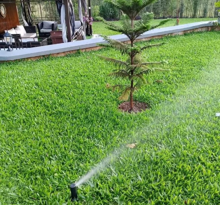 How modern irrigation is transforming farming and why Faulu Irrigation LTD is winning farmers’ trust