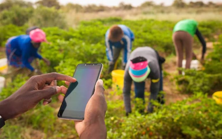 Avenews offering agri-SMEs quick credit