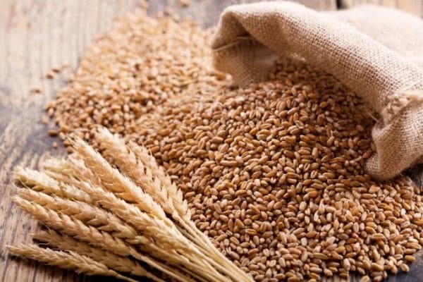 Wheat prices in Kenya