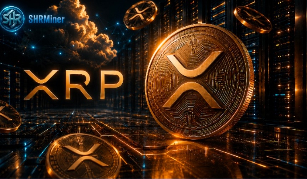 XRP Price Is Down Nearly 71% From Its Peak — SHRMiner Gives Holders Another Way to generate $3,000 in daily passive income from their idle cryptocurrency