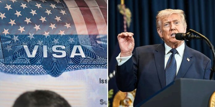 US pauses immigrant visa