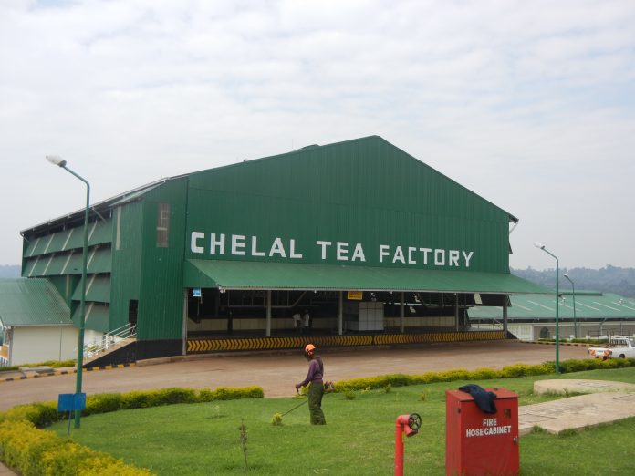 Chelal Tea Factory