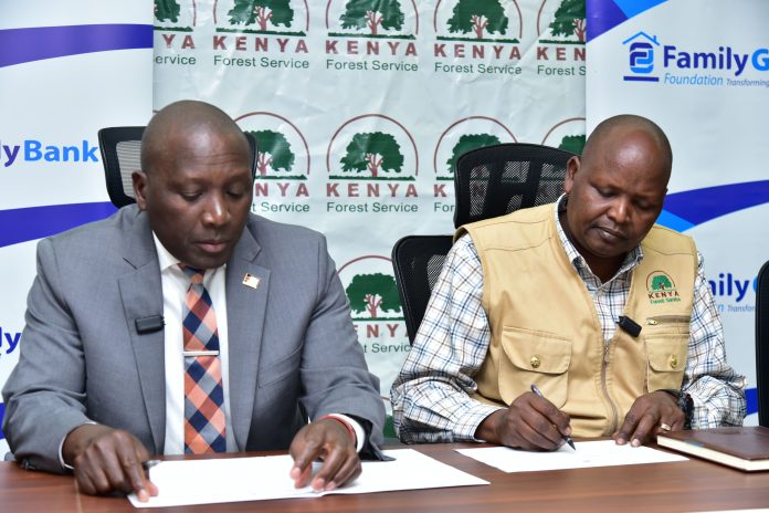 Family Group, KFS partner to restore Ngong Hills