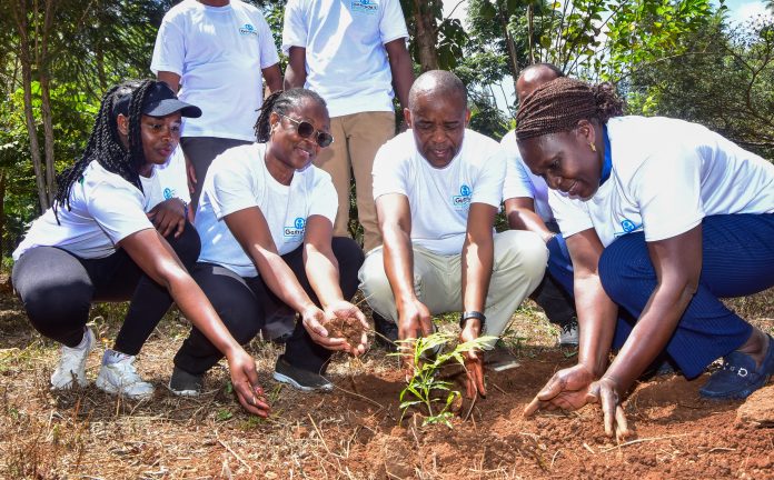 Gertrude’s Children’s Hospital urges peers to make sustainability an operational priority, citing benefits from solar energy and circularity