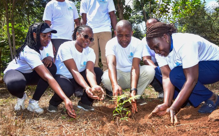 Gertrude’s Children’s Hospital urges peers to make sustainability an operational  priority, citing benefits from solar energy and circularity