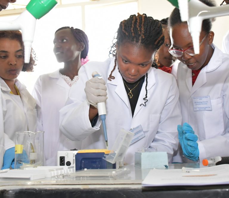 African Women turn to AI to tackle health and farming challenges