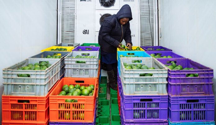 Soko Fresh cold storage facility